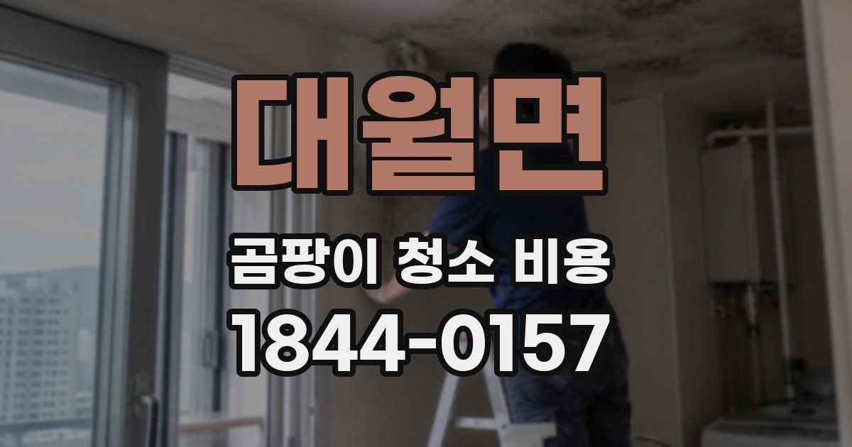대월면 곰팡이 청소 비용