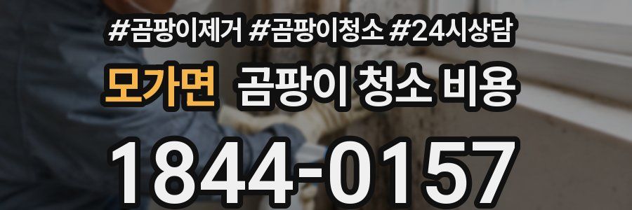 모가면 곰팡이 청소 비용
