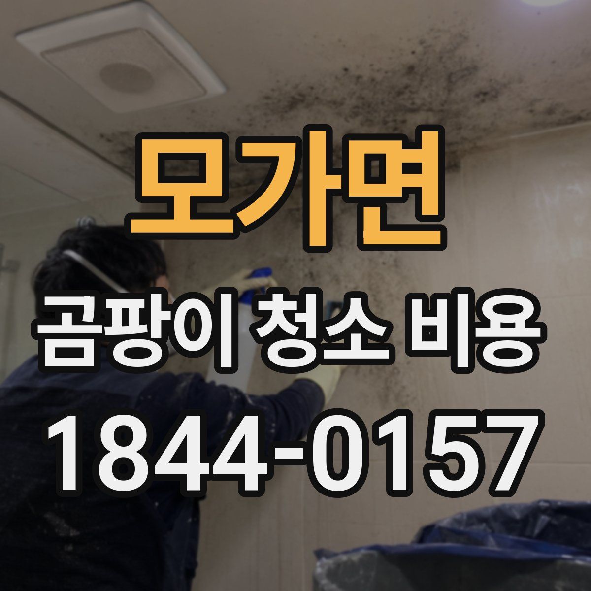 모가면 곰팡이 청소 비용