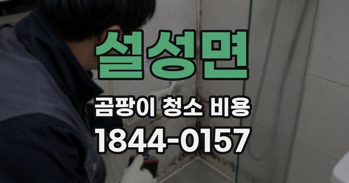 설성면 곰팡이 청소 비용