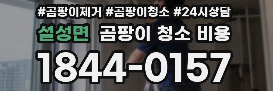 설성면 곰팡이 청소 비용