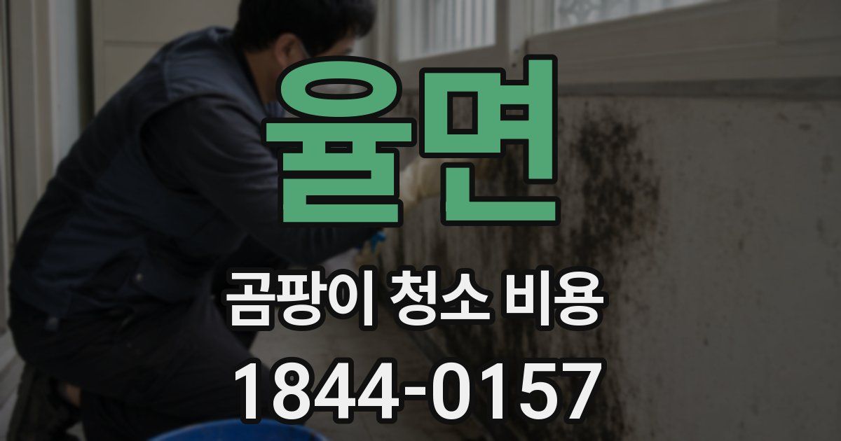 율면 곰팡이 청소 비용