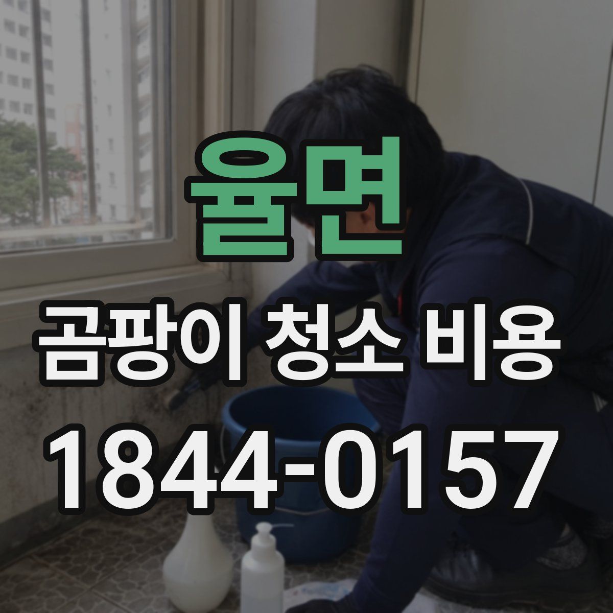 율면 곰팡이 청소 비용