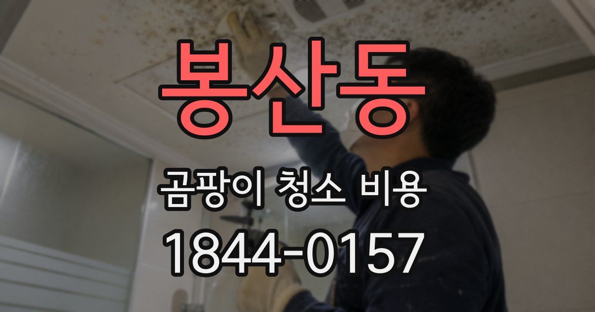 봉산동 곰팡이 청소 비용