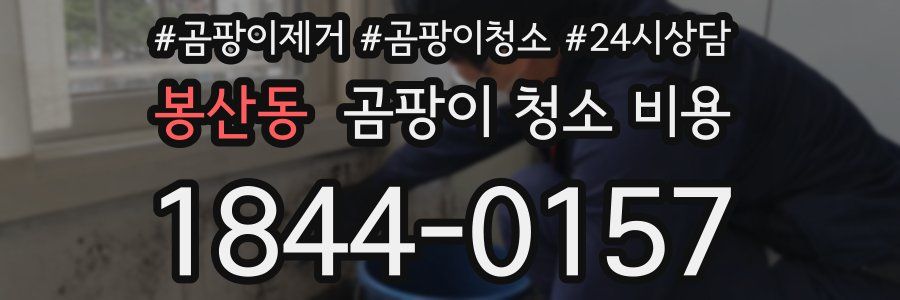 봉산동 곰팡이 청소 비용