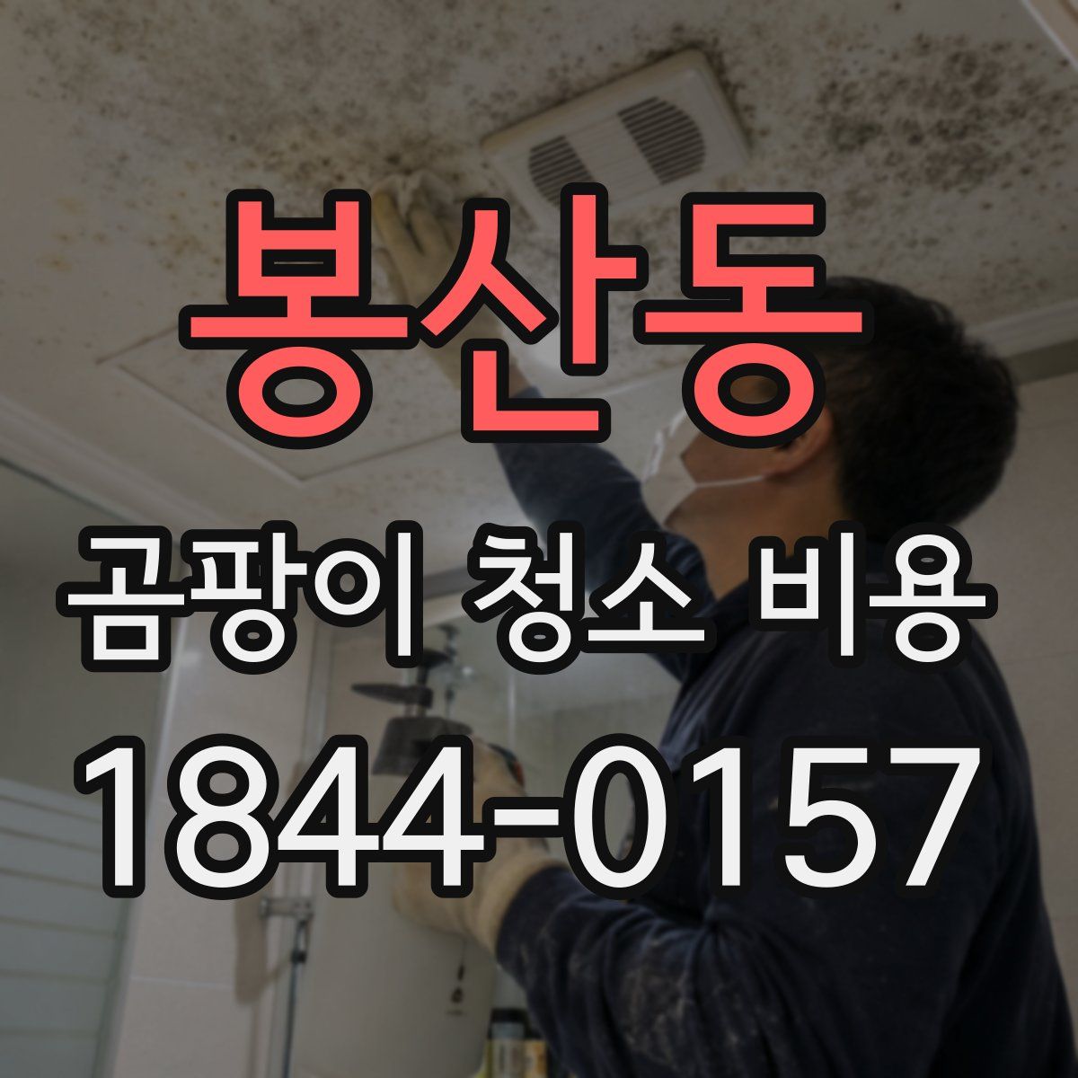 봉산동 곰팡이 청소 비용