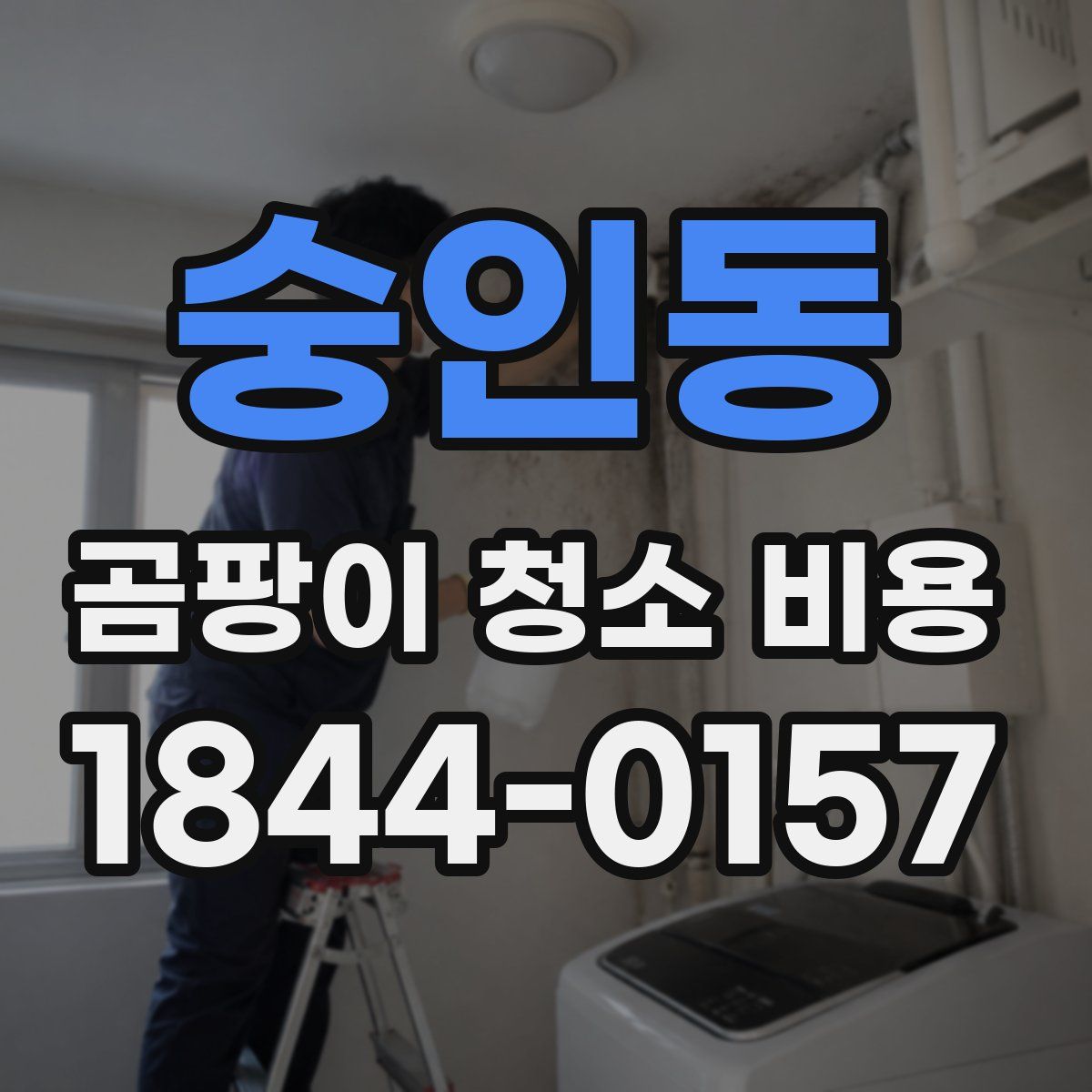 숭인동 곰팡이 청소 비용