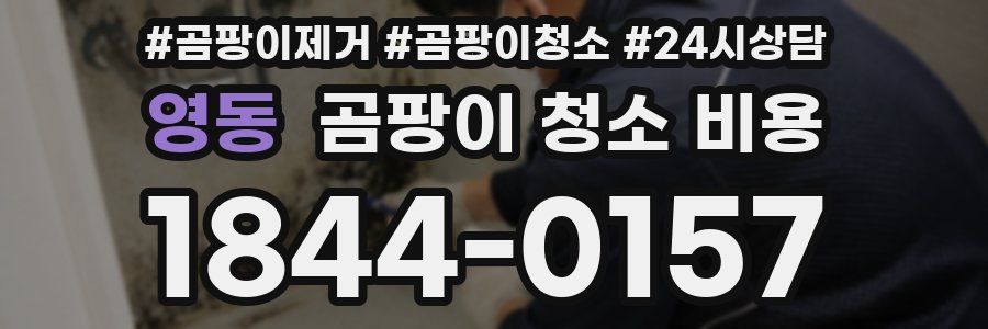 영동 곰팡이 청소 비용