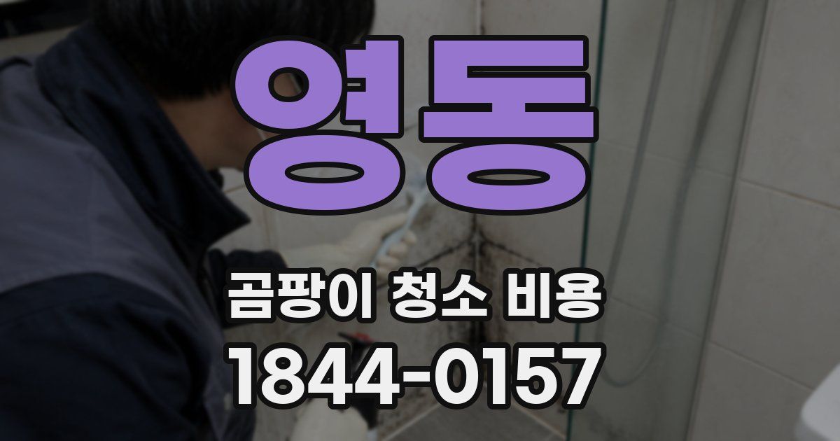 영동 곰팡이 청소 비용