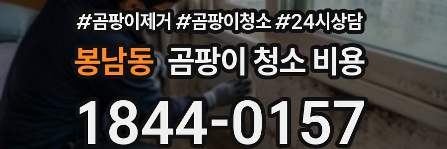 봉남동 곰팡이 청소 비용