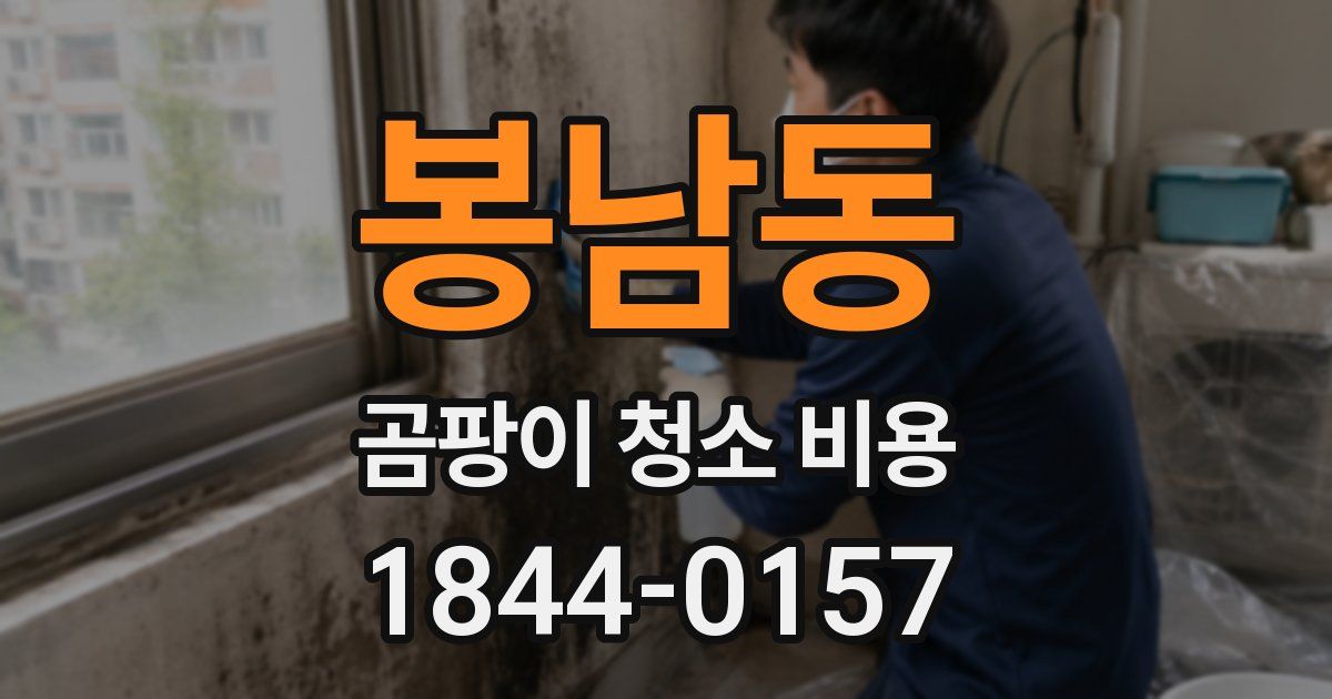 봉남동 곰팡이 청소 비용