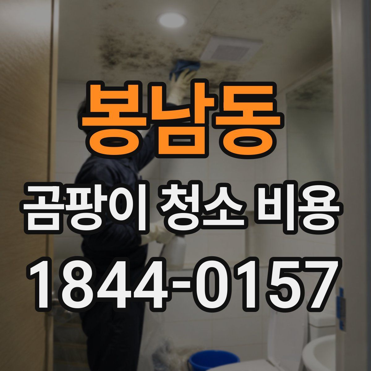 봉남동 곰팡이 청소 비용