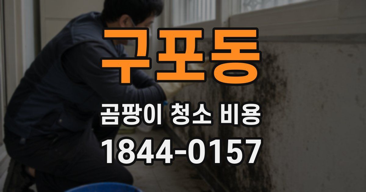 구포동 곰팡이 청소 비용