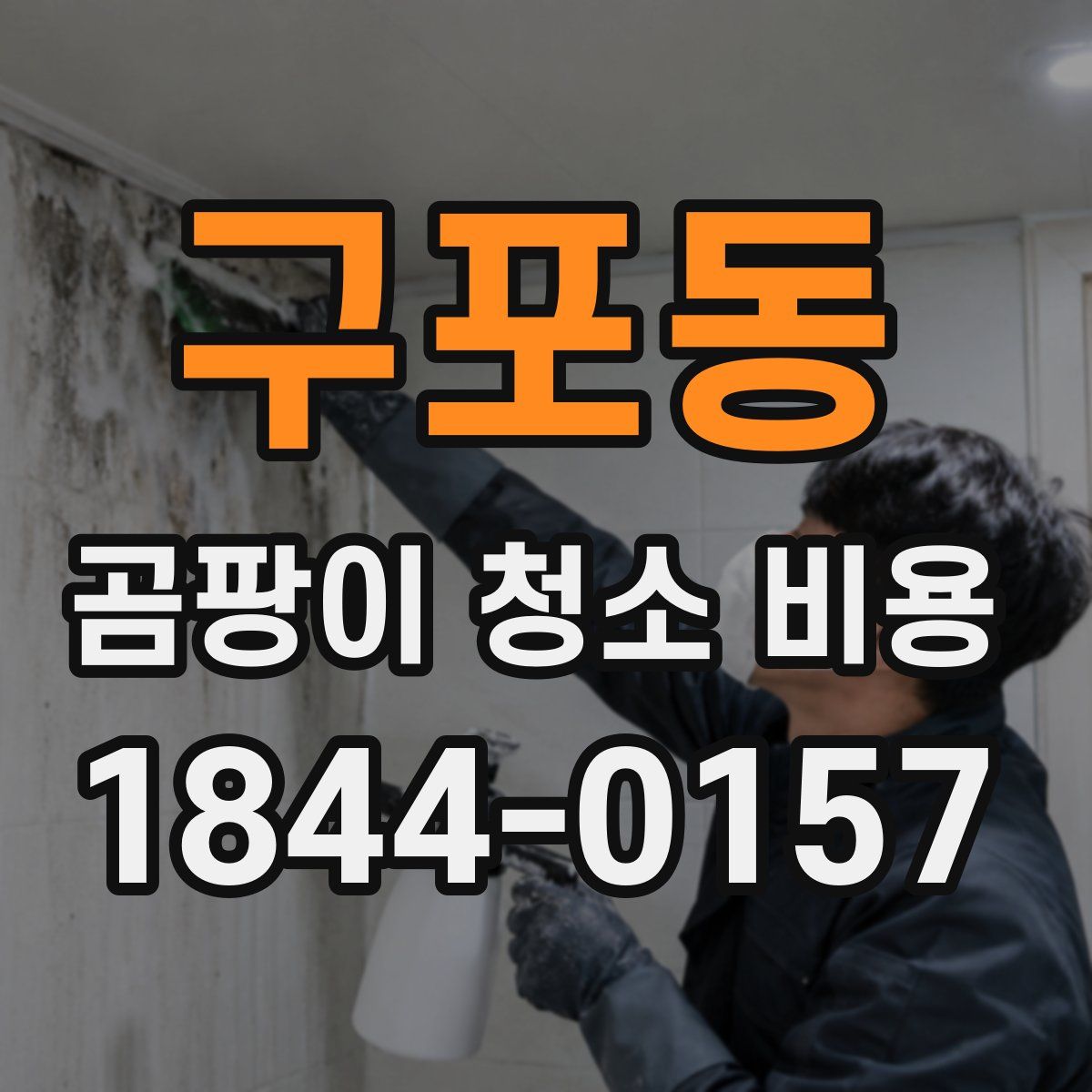 구포동 곰팡이 청소 비용
