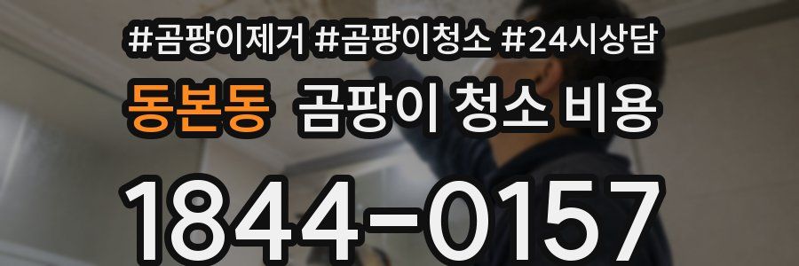 동본동 곰팡이 청소 비용
