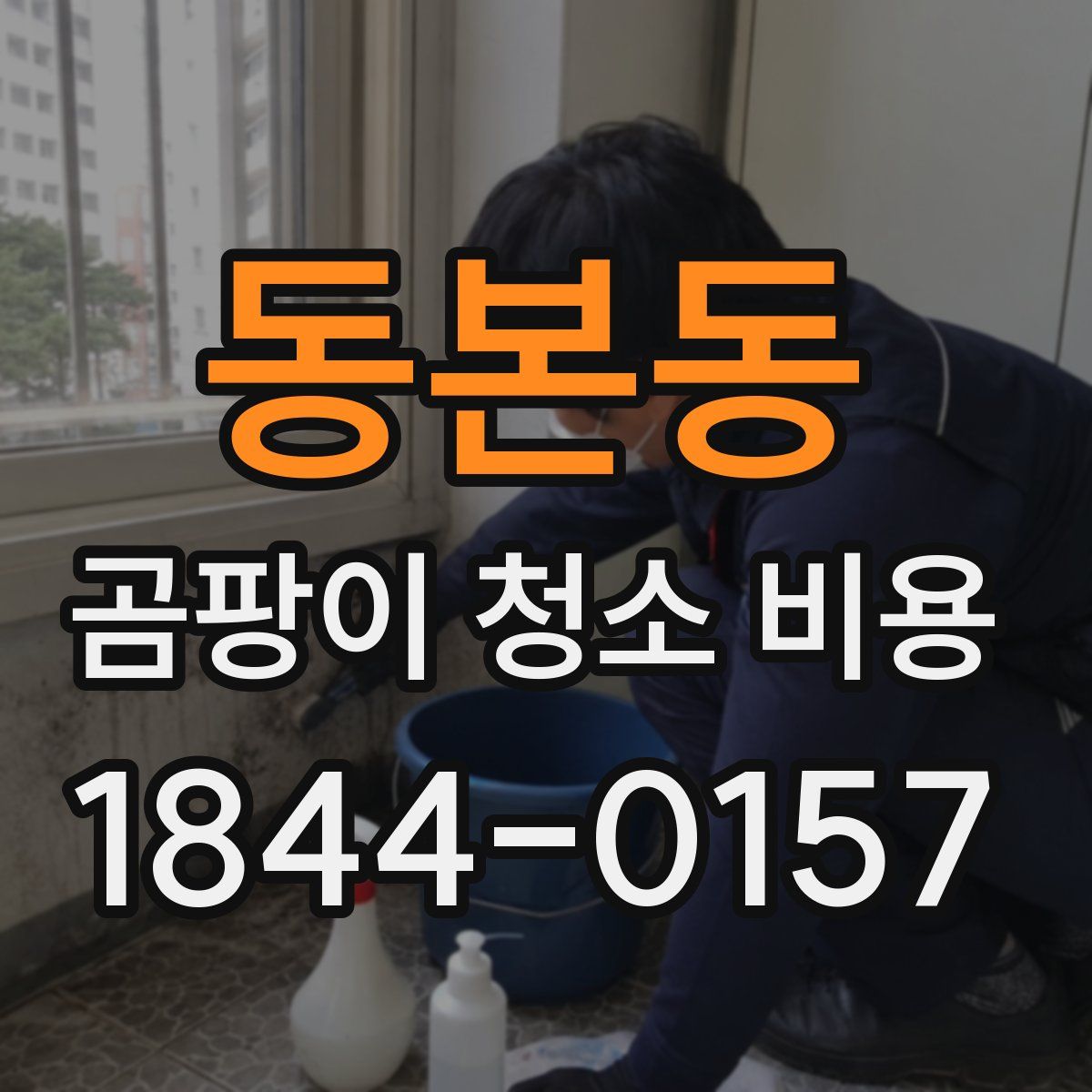 동본동 곰팡이 청소 비용