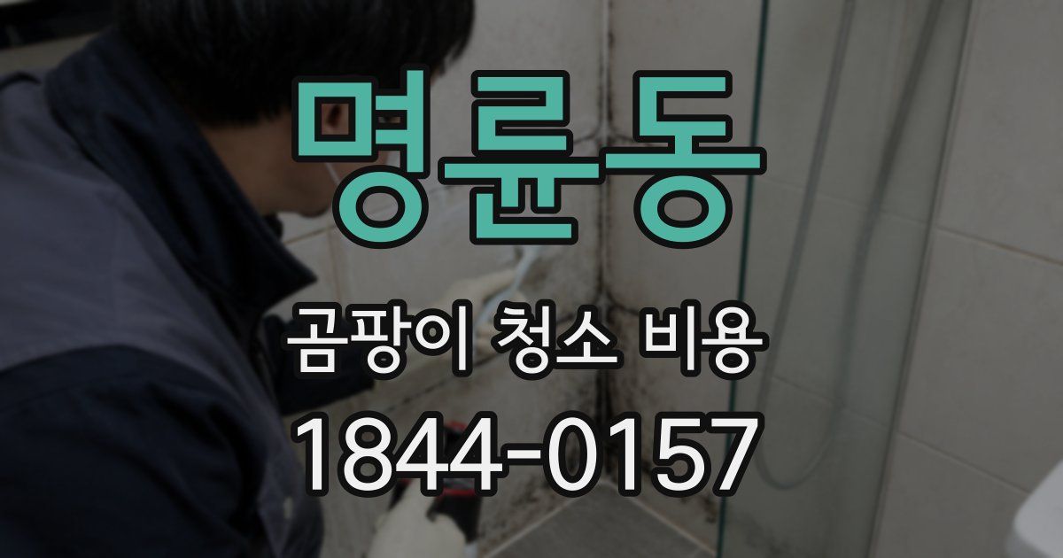 명륜동 곰팡이 청소 비용