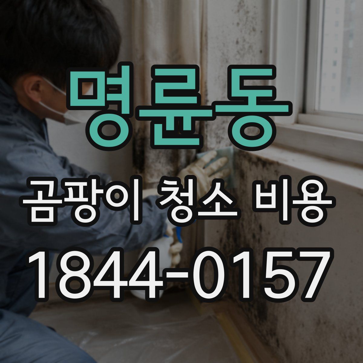 명륜동 곰팡이 청소 비용