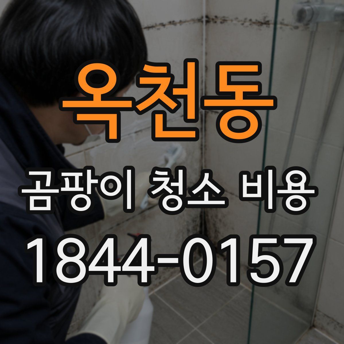 옥천동 곰팡이 청소 비용