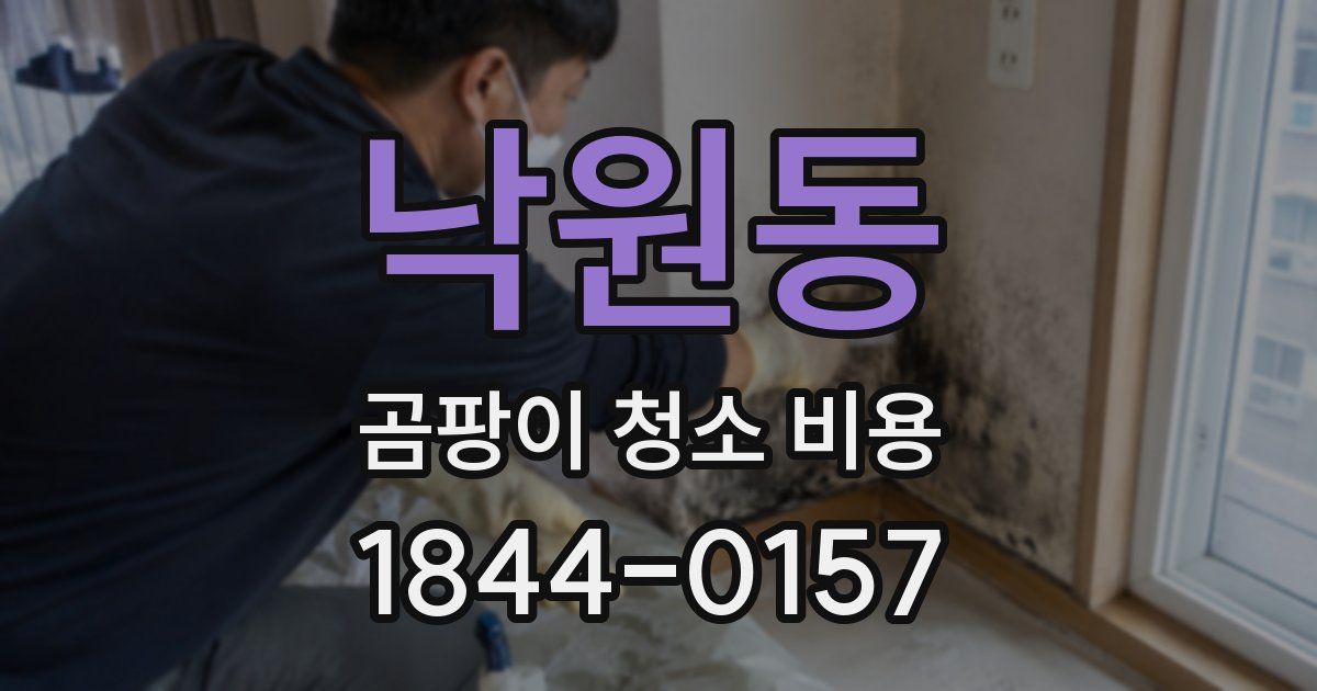 낙원동 곰팡이 청소 비용