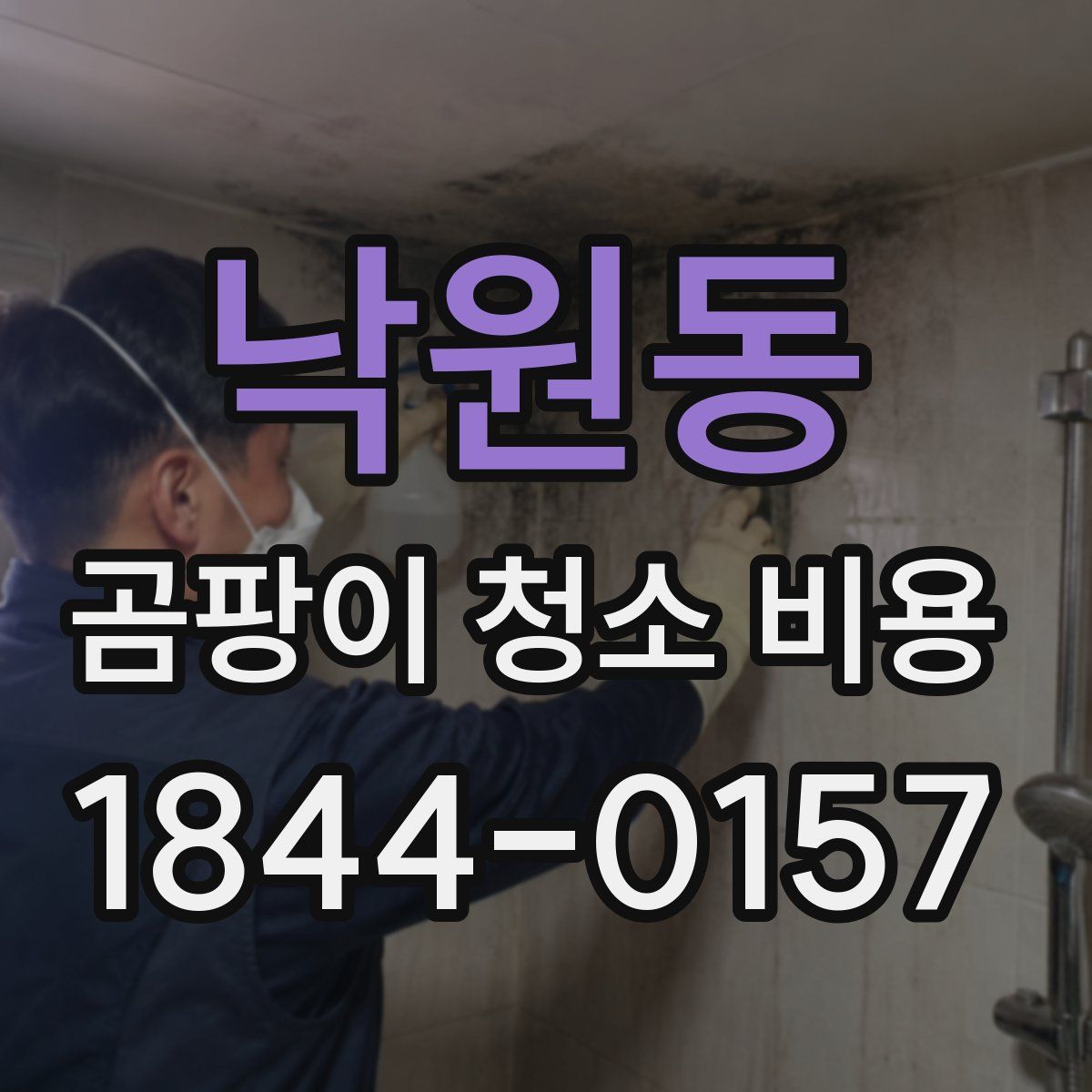 낙원동 곰팡이 청소 비용