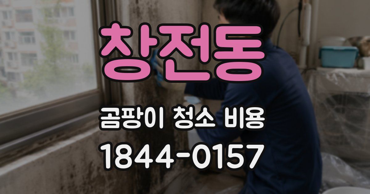 창전동 곰팡이 청소 비용