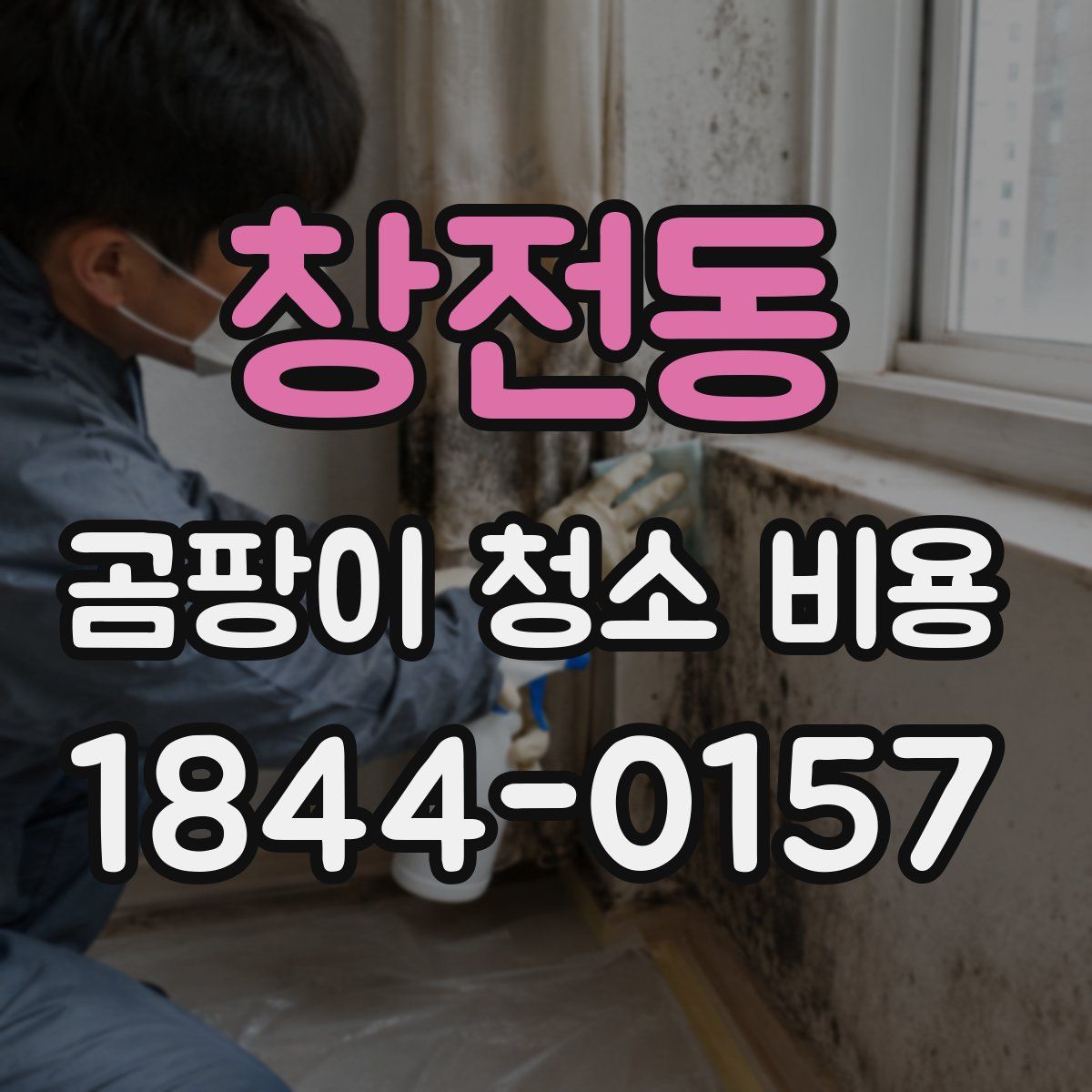 창전동 곰팡이 청소 비용