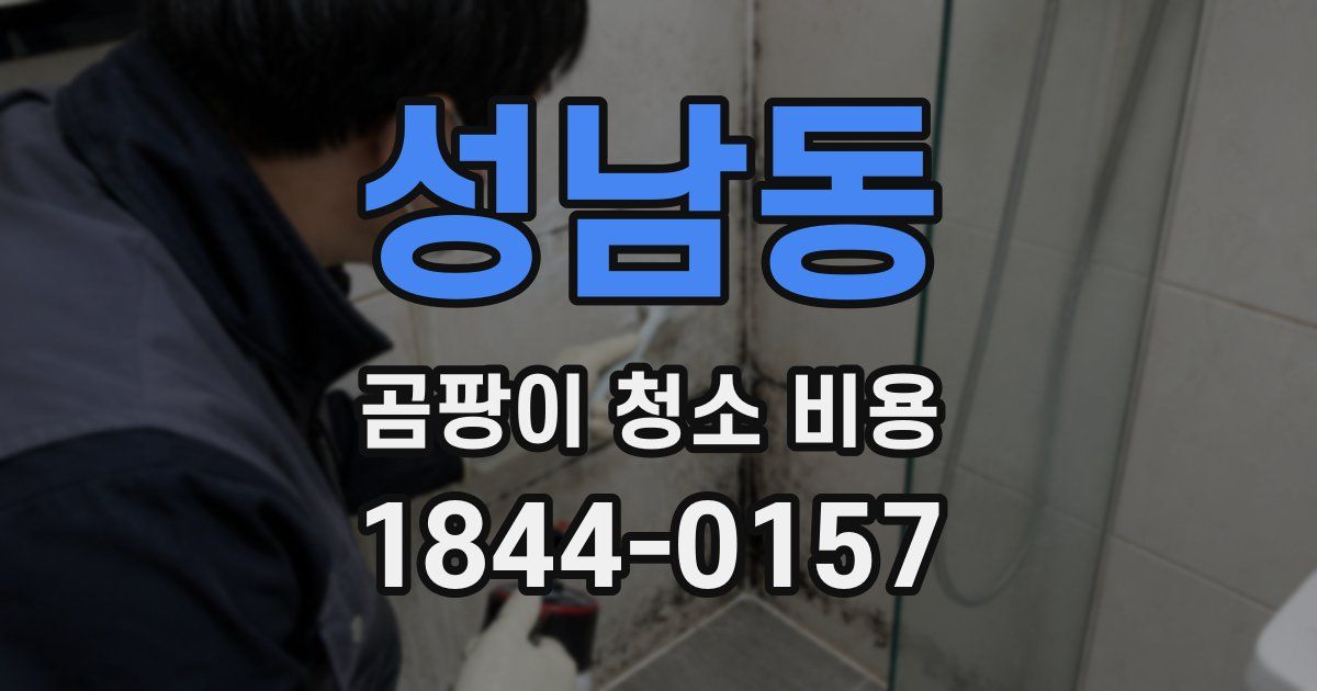 성남동 곰팡이 청소 비용