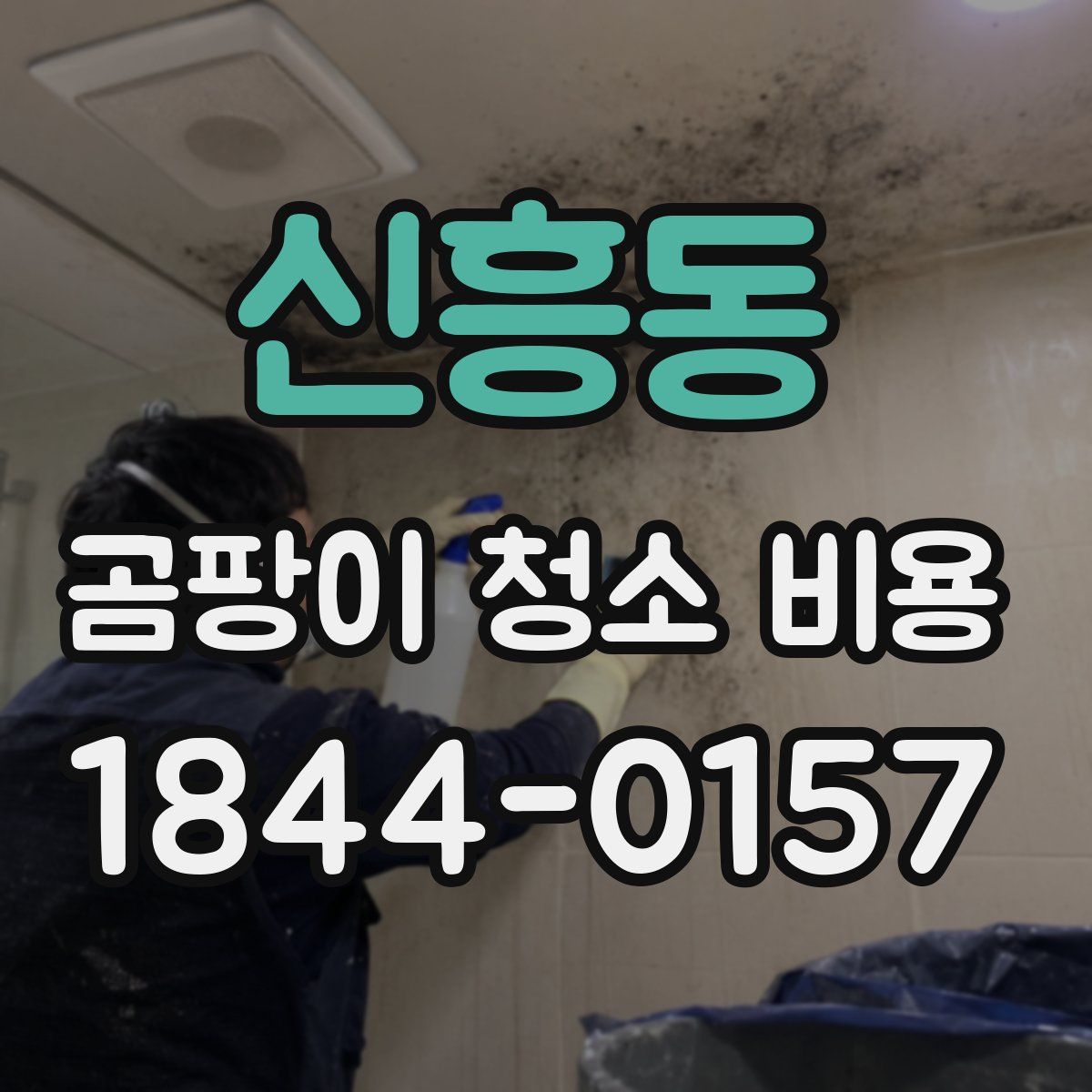 신흥동 곰팡이 청소 비용