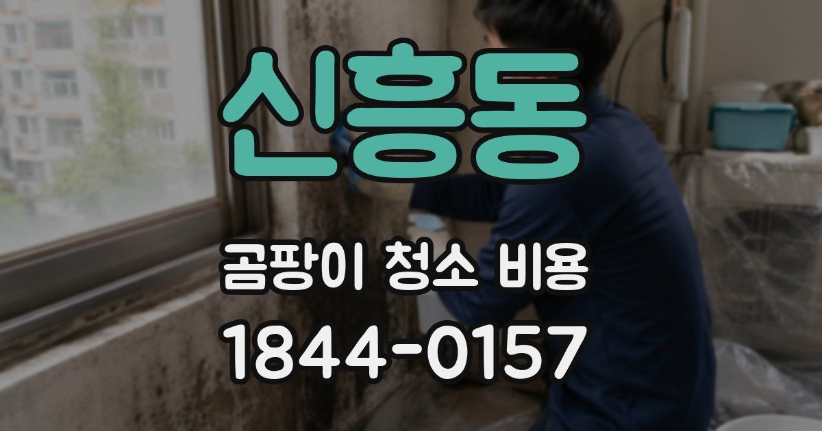 신흥동 곰팡이 청소 비용