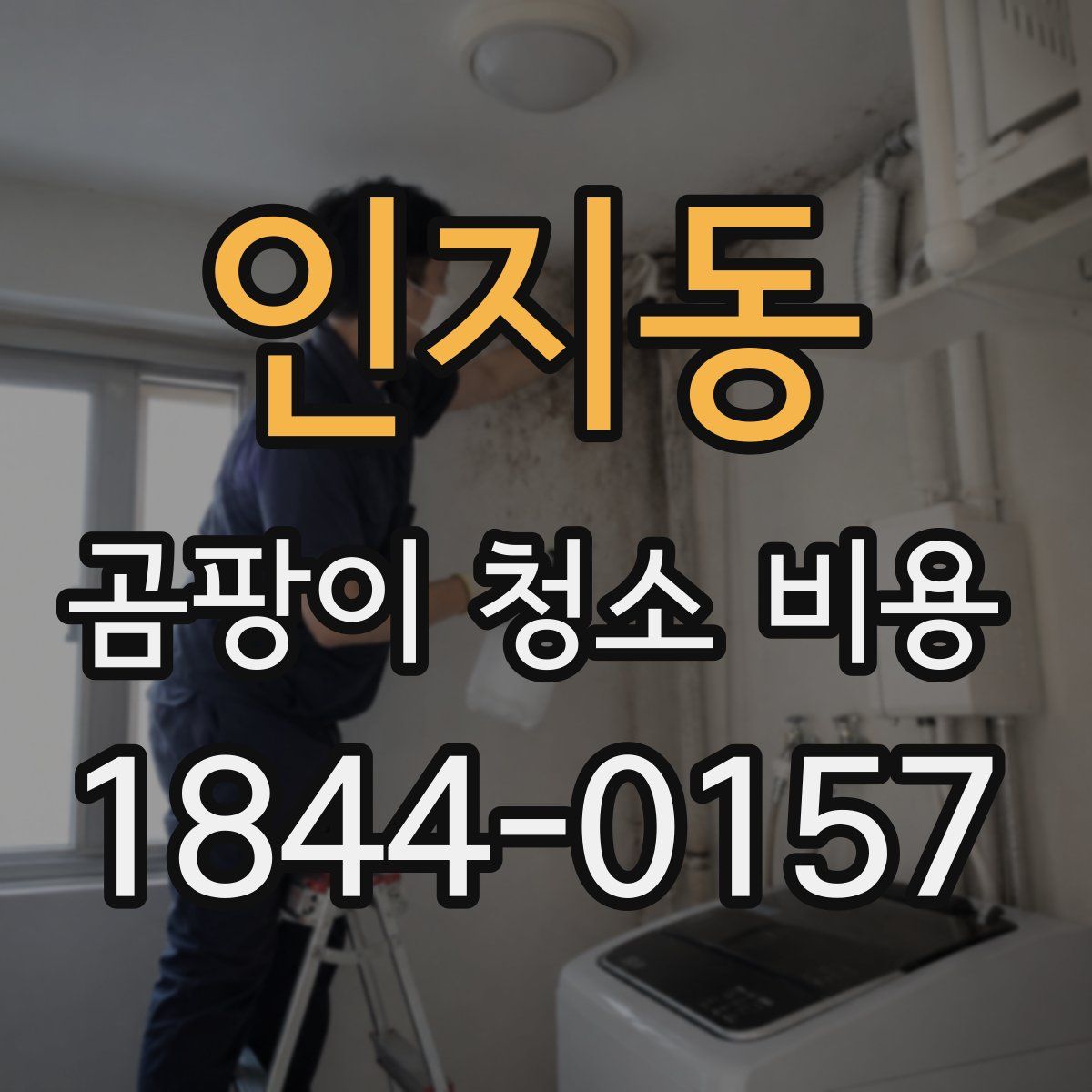 인지동 곰팡이 청소 비용