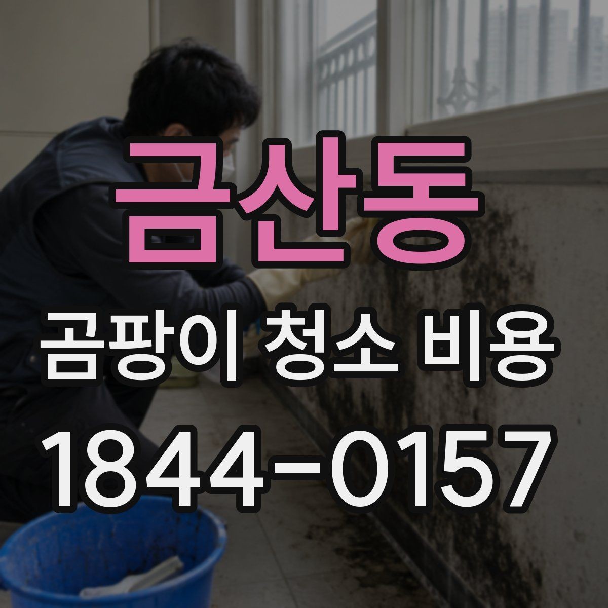 금산동 곰팡이 청소 비용 재오염을 줄이기 위한 사전 점검