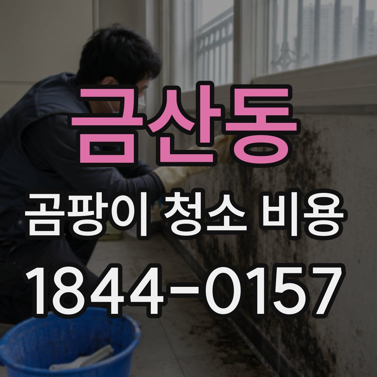 금산동 곰팡이 청소 비용