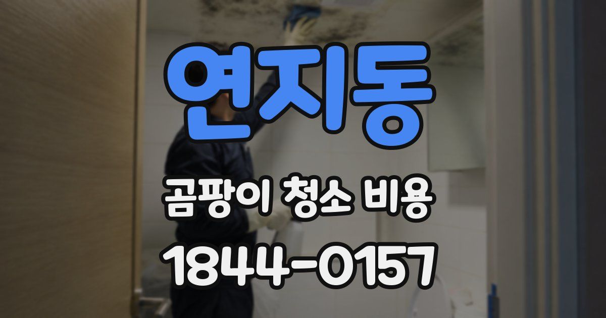 연지동 곰팡이 청소 비용