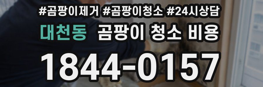 대천동 곰팡이 청소 비용