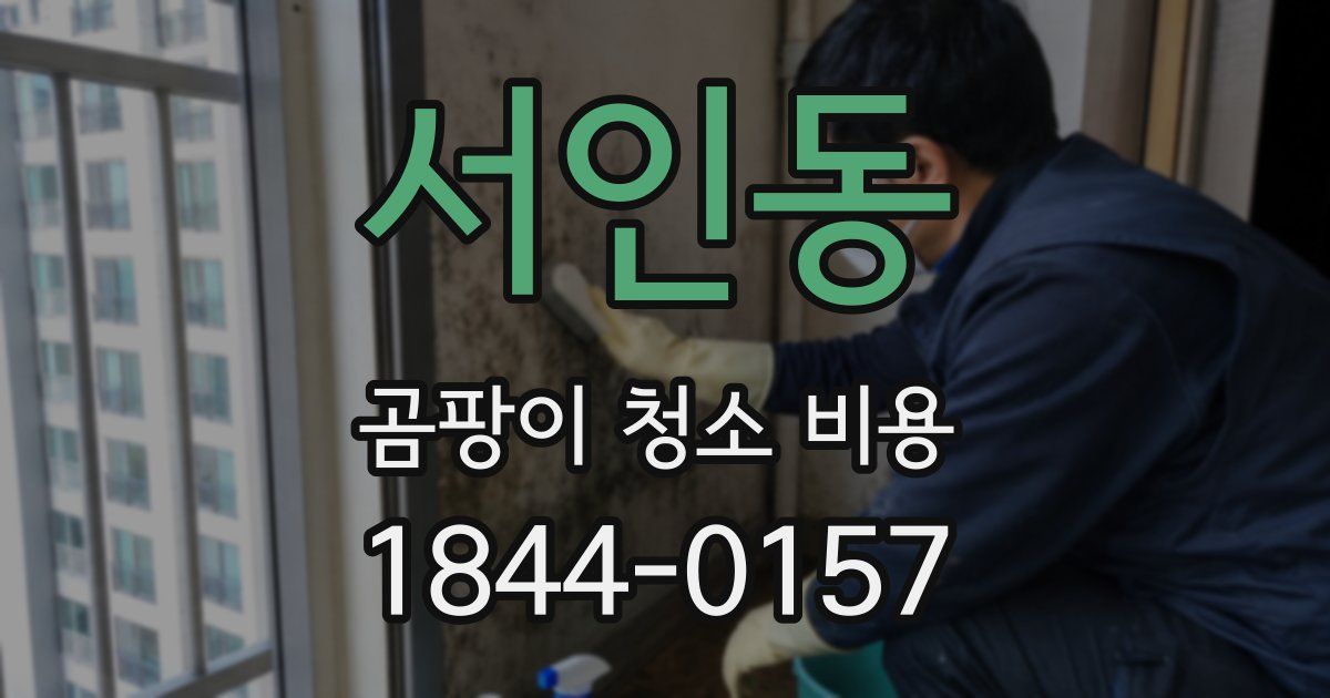 서인동 곰팡이 청소 비용
