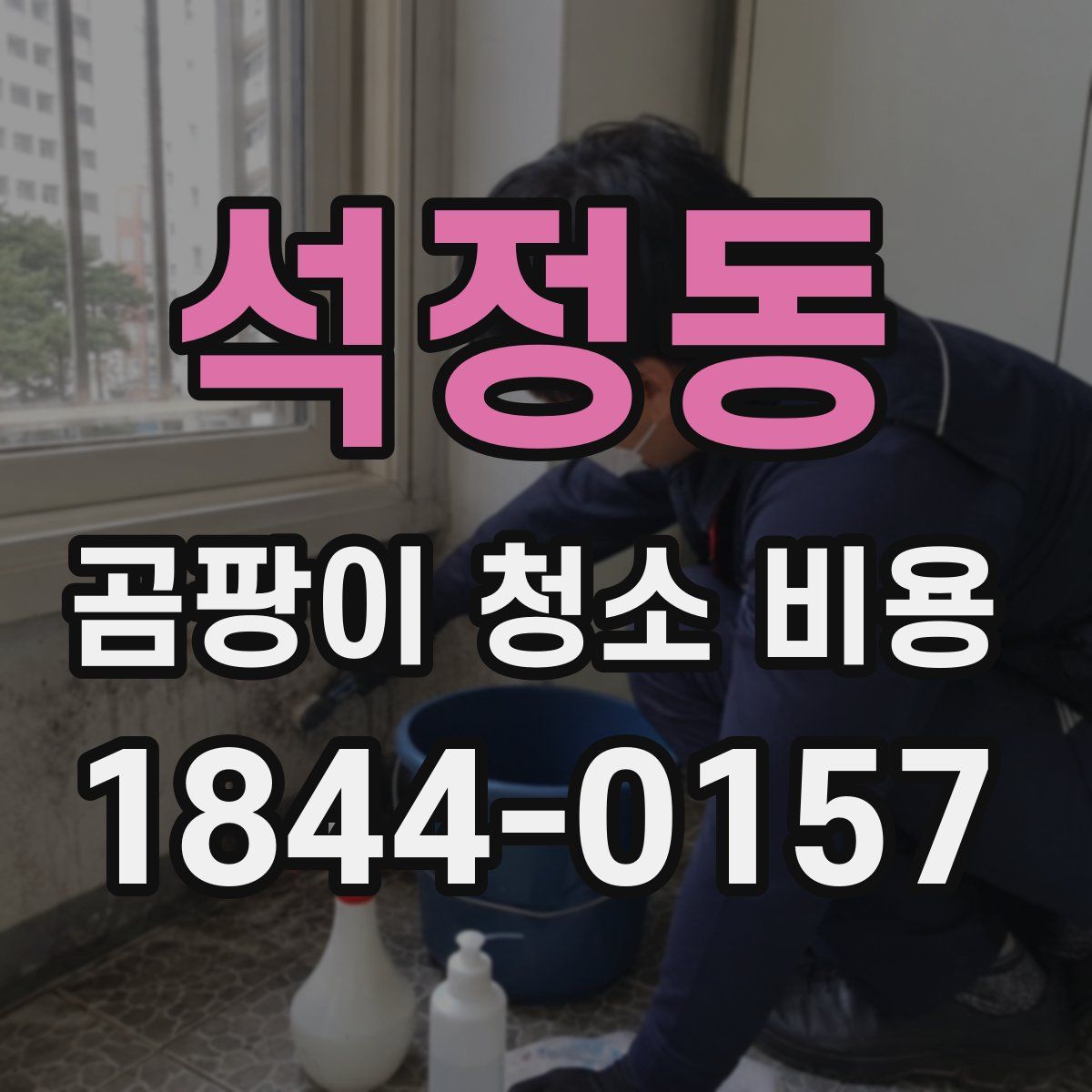 석정동 곰팡이 청소 비용