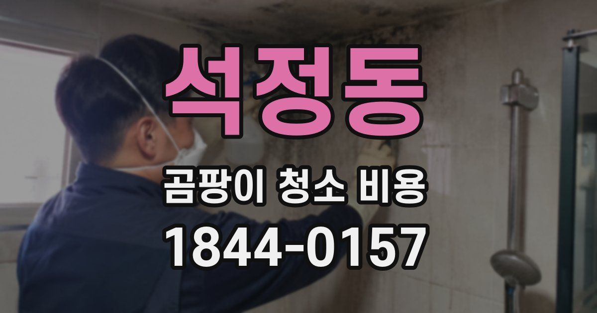 석정동 곰팡이 청소 비용