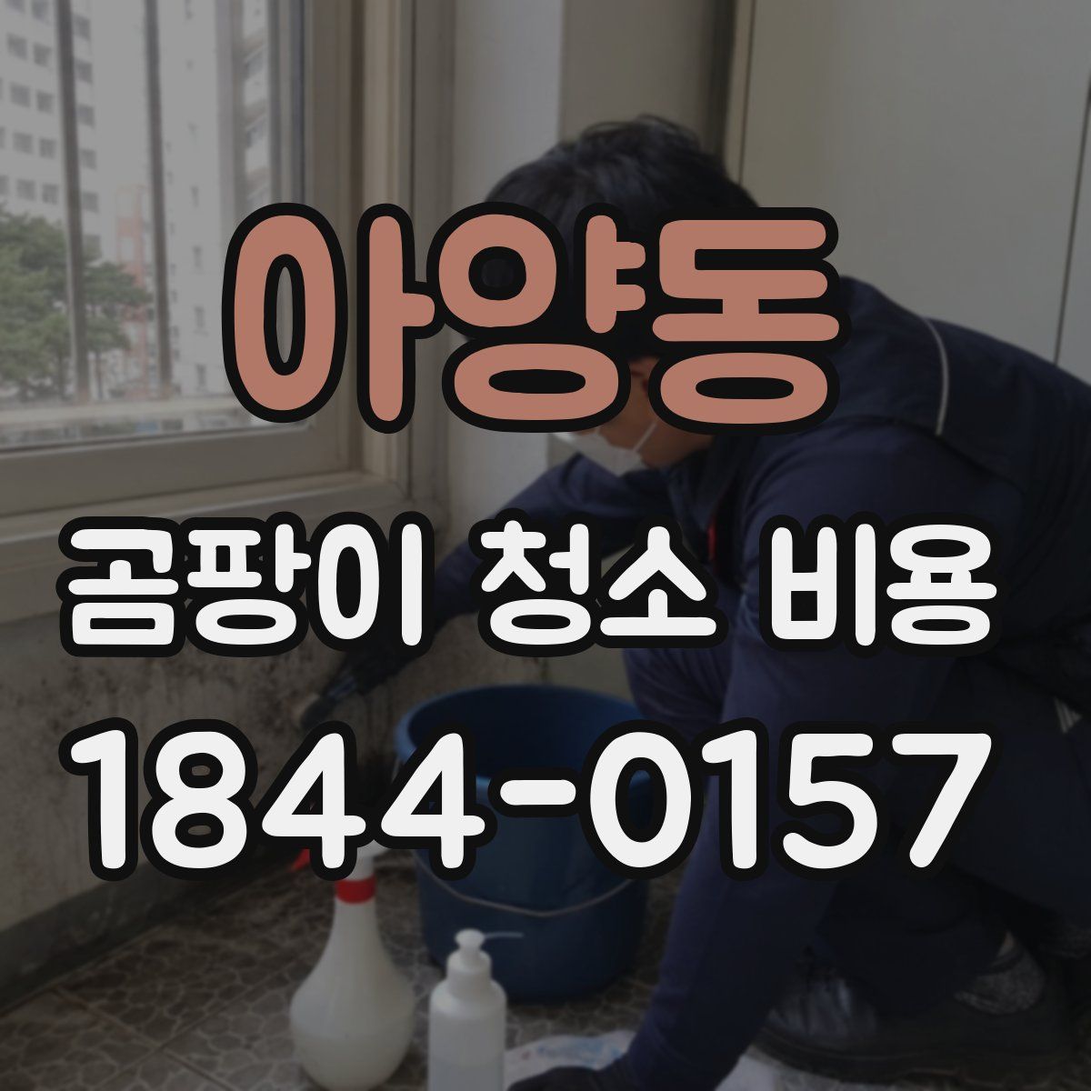 아양동 곰팡이 청소 비용