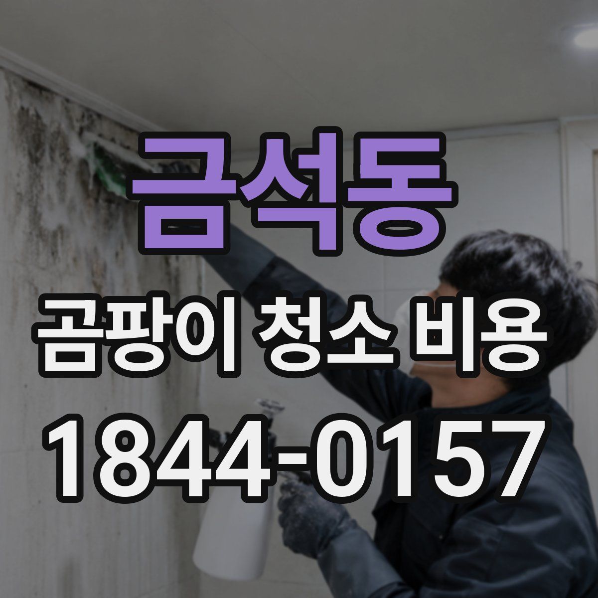 금석동 곰팡이 청소 비용