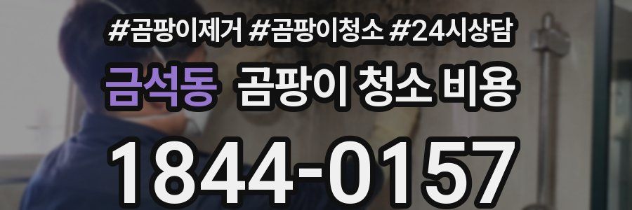 금석동 곰팡이 청소 비용