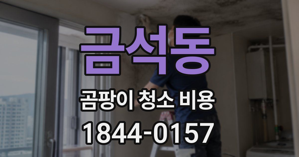 금석동 곰팡이 청소 비용