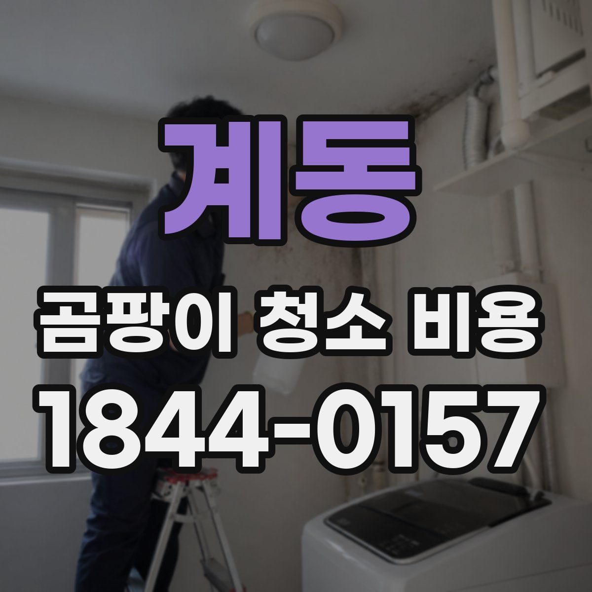 계동 곰팡이 청소 비용