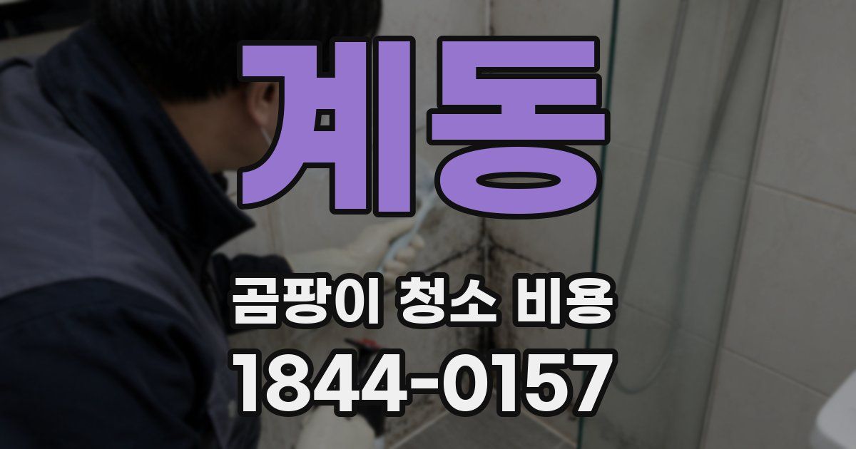계동 곰팡이 청소 비용
