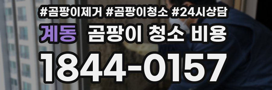 계동 곰팡이 청소 비용