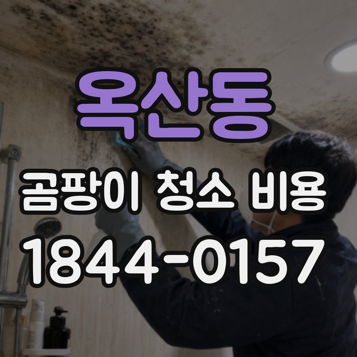 옥산동 곰팡이 청소 비용
