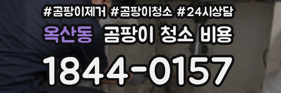 옥산동 곰팡이 청소 비용