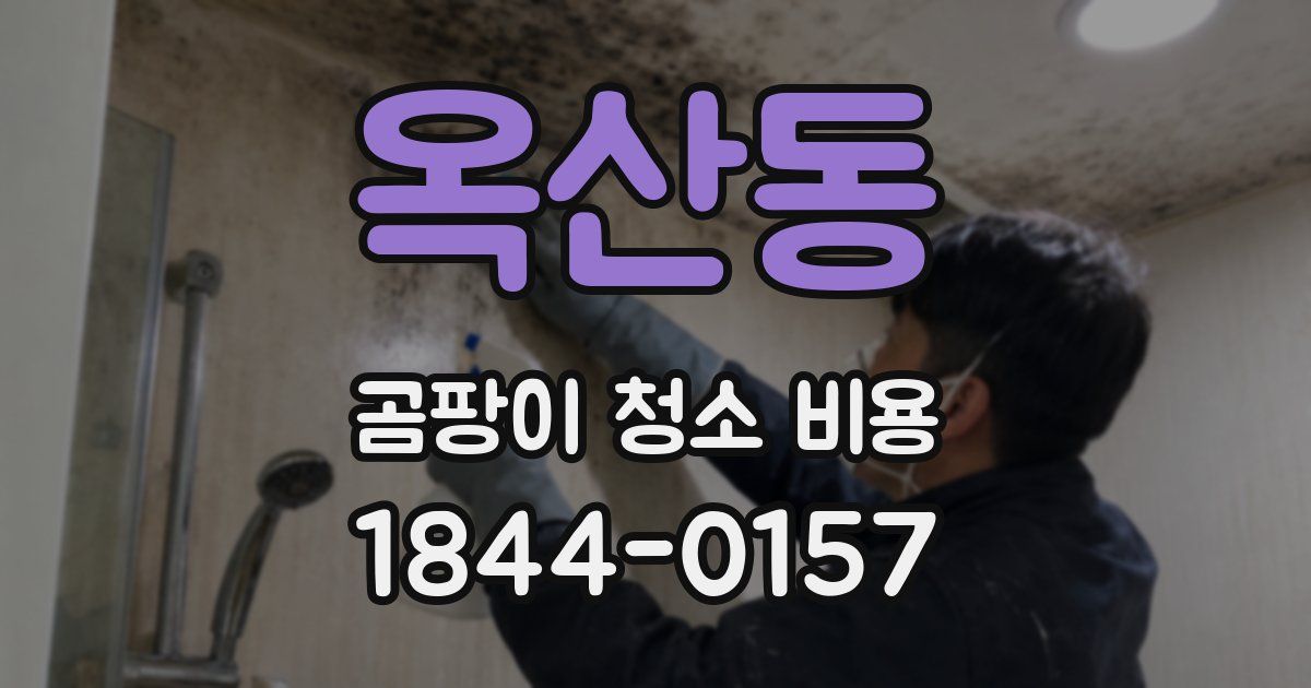 옥산동 곰팡이 청소 비용