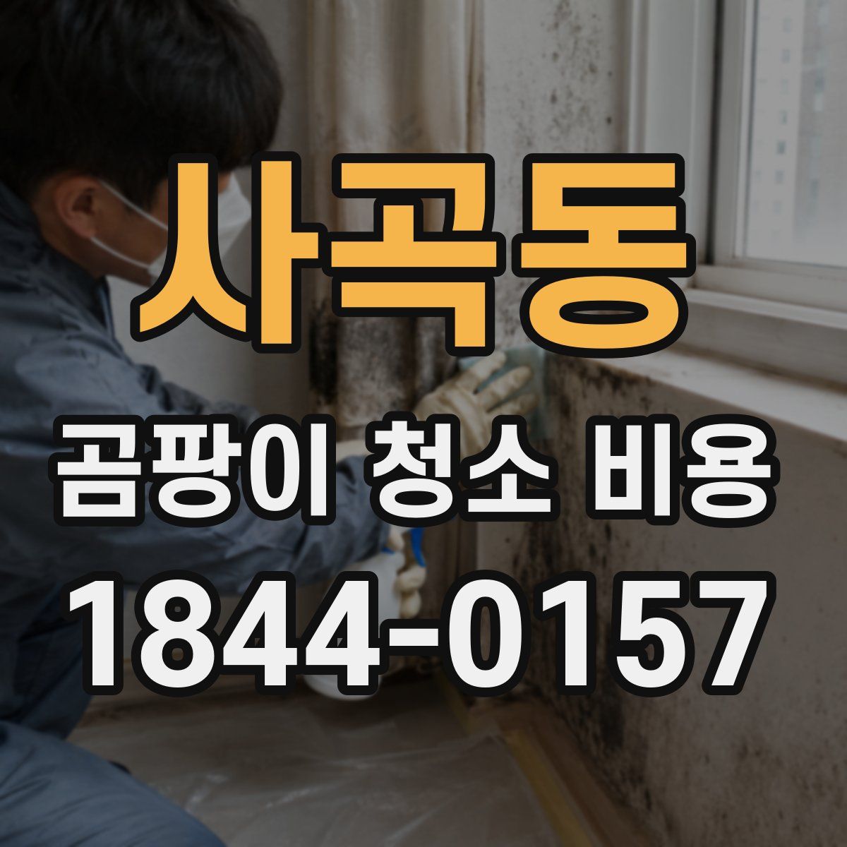 사곡동 곰팡이 청소 비용