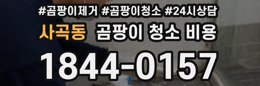 사곡동 곰팡이 청소 비용